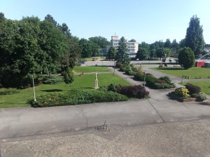 picture1.jpg